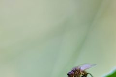 Jun-25-2022R3_02518