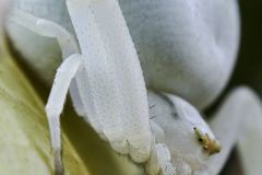 06 06 2022 Schönenbuch