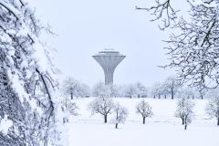 Watertower Schönenbuch