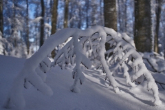 Wisemberg (BL) with fresh snow