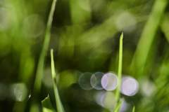 Dec-27-2022R3_08350