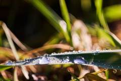 Dec-27-2022R3_08352