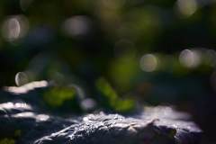 Dec-27-2022R3_08353