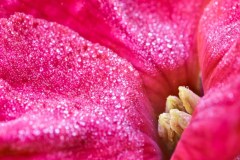 Apr-09-2023R3_04649