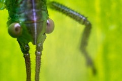 Apr-09-2023R3_04670