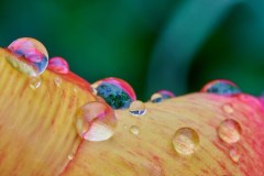Apr-16-2023R3_05181