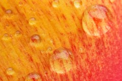 Apr-16-2023R3_05185