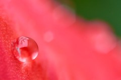 Apr-16-2023R3_05196