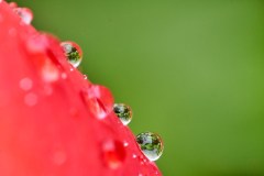 Apr-16-2023R3_05198