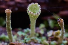 Apr-16-2023R3_05231