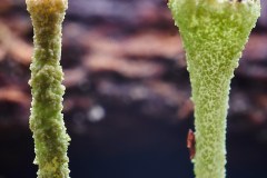 Apr-16-2023R3_05237