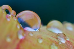 Apr-16-2023R3_05256
