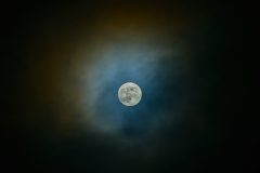 Feb-05-2023_R2_00296