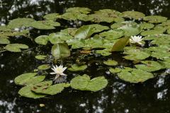04 2022, The Netherlands, Dalen